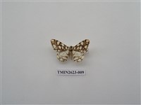 藏品(尺蛾143)的圖片